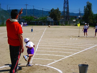 平成28年度スポーツテストの画像4