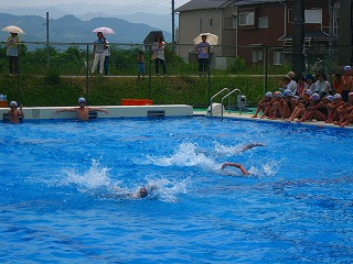 H28水泳大会03