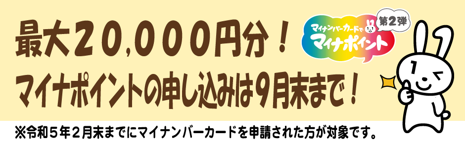 マイナポイント第2弾申込期限