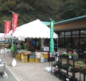 根来さくらの里　店