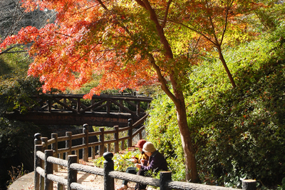 紅葉狩り