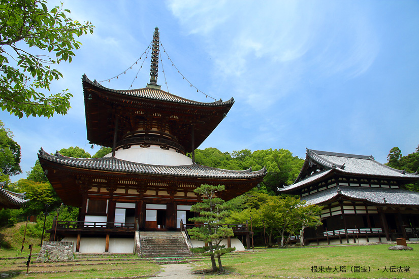 根来寺大塔（国宝）・大伝法堂の写真