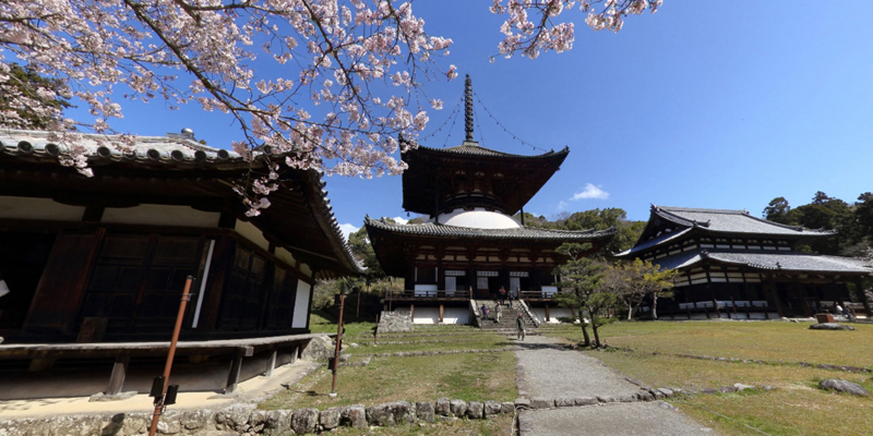 春の根来寺360°パノラマの写真その1