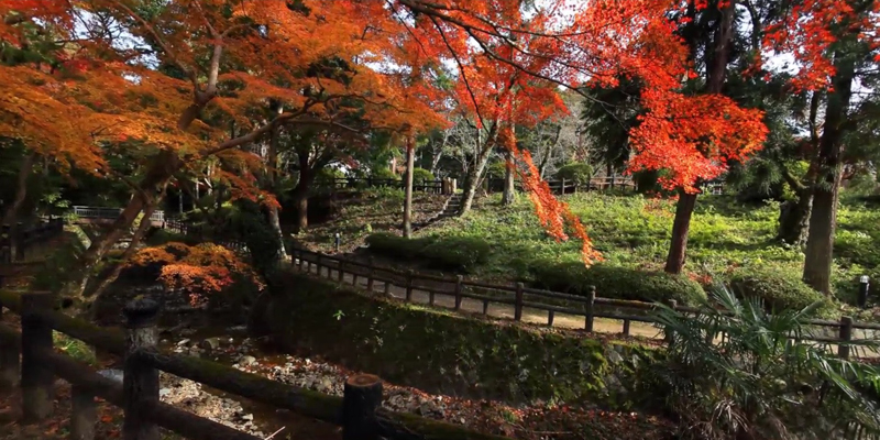 秋のもみじ谷360°パノラマの写真その1