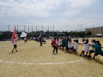 kakki