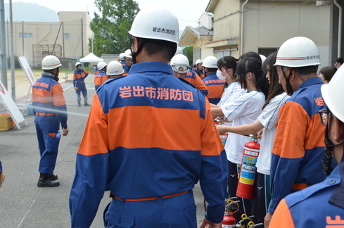 kousha