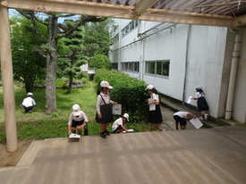 houkago