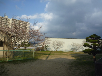 中黒団地公園の画像