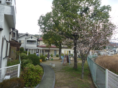 山宮の浦公園の画像