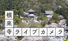 根来寺ライブカメラ