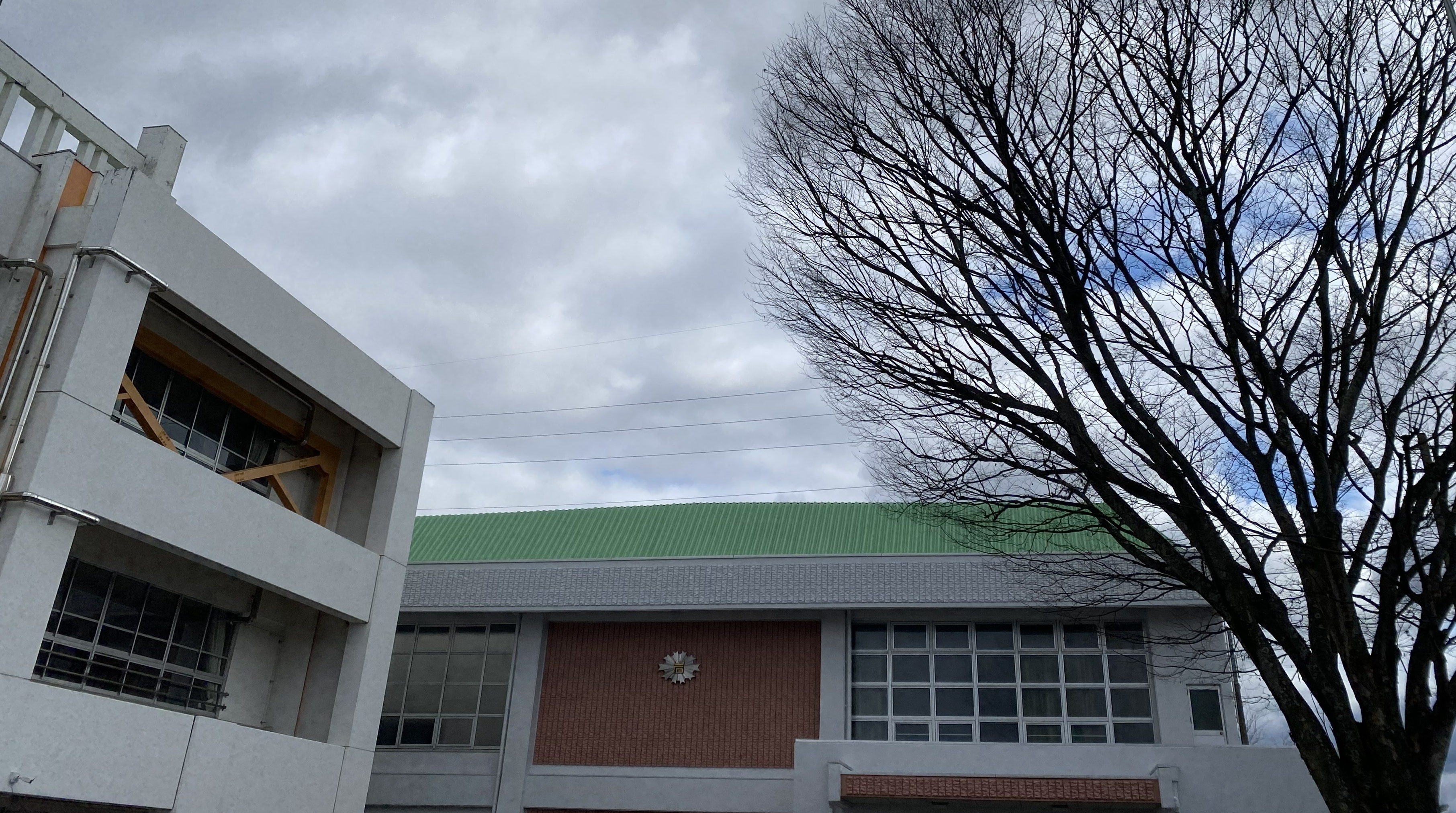 岩出小学校写真4
