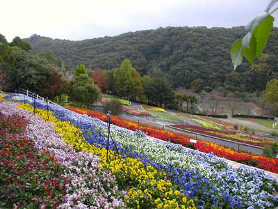 県植物公園緑花センターの画像