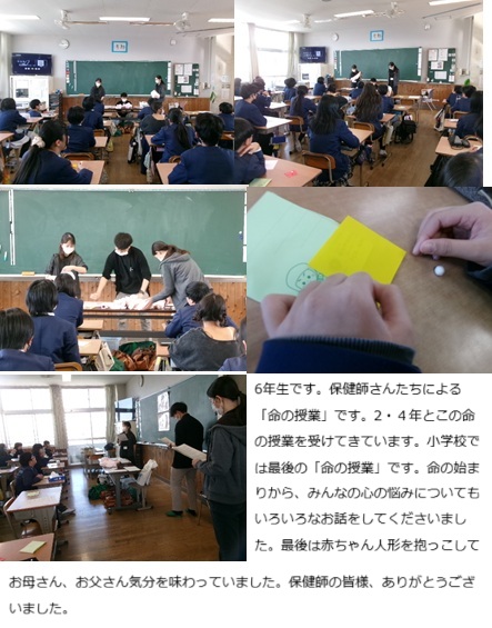 11月20日(木曜日)命の授業(6年)の画像4