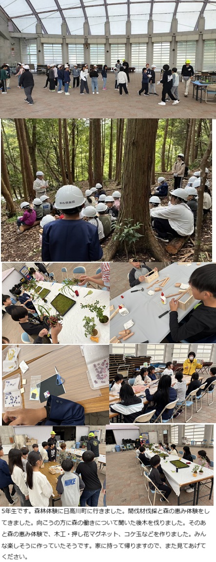 10月24日(金曜日)1・2年生社会見学5年生森林体験の画像4