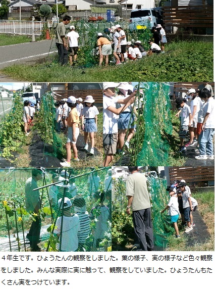 9月3日(水曜日)通常授業・岩出第二中学校職場体験の画像2