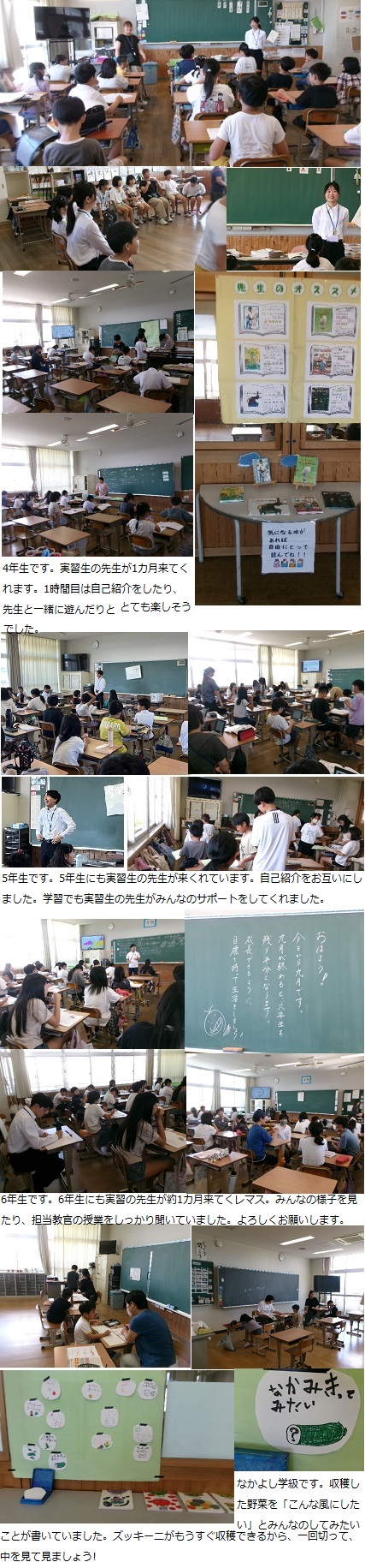 9月1日(月曜日)通常授業の画像2