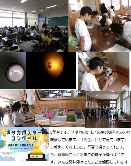 6月20日（金曜日）通常授業の画像3