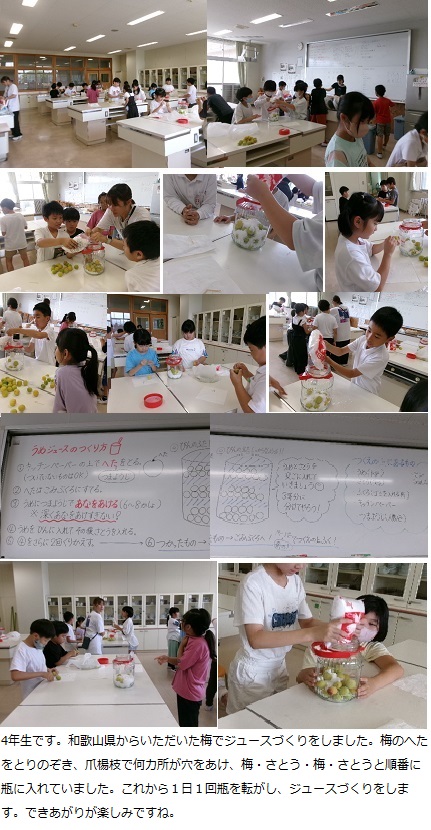 6月17日（火曜日）梅ジュースづくり（4年）の画像2