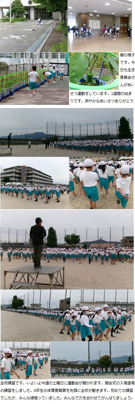 5月26日(月曜日)通常授業の画像