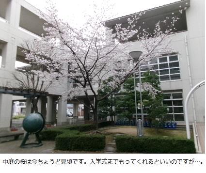 4月1日（火曜日）令和7年度スタートの画像