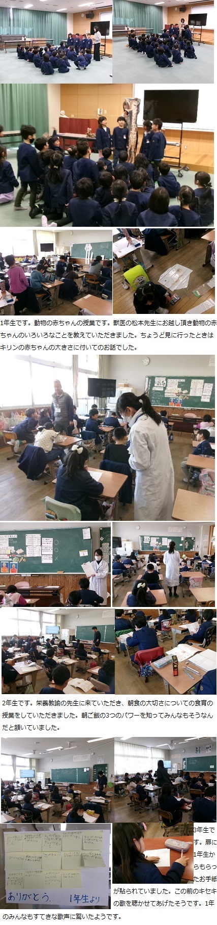 2月18日(火曜日)動物の赤ちゃん出前授業(1年)・食育朝食について(2年)の画像2