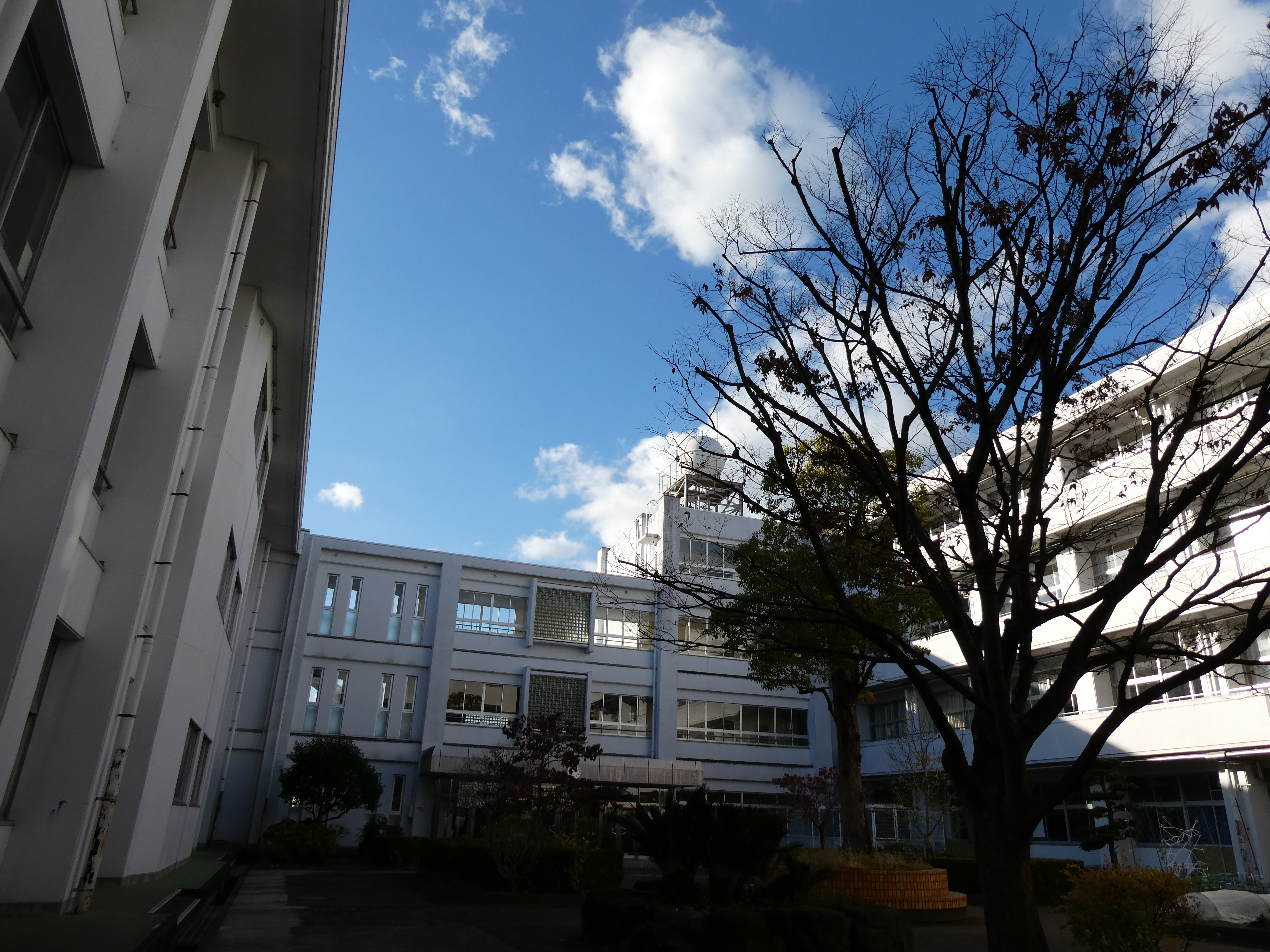 写真部　ご