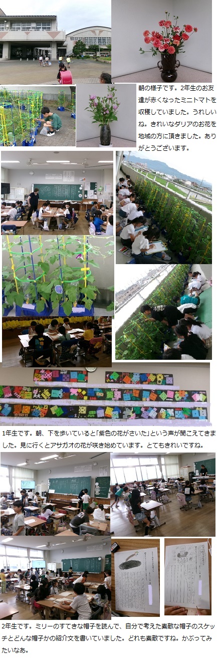 6月27日（木曜日）歯科検診の画像1