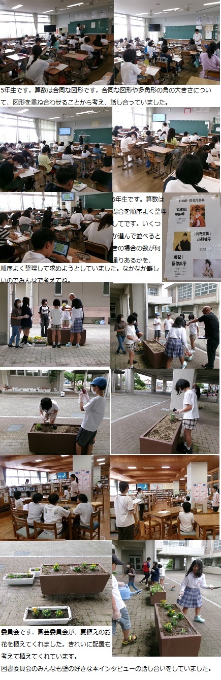 6月26日（水曜日）委員会の画像4