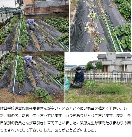 6月25日（火曜日）通常授業の画像5