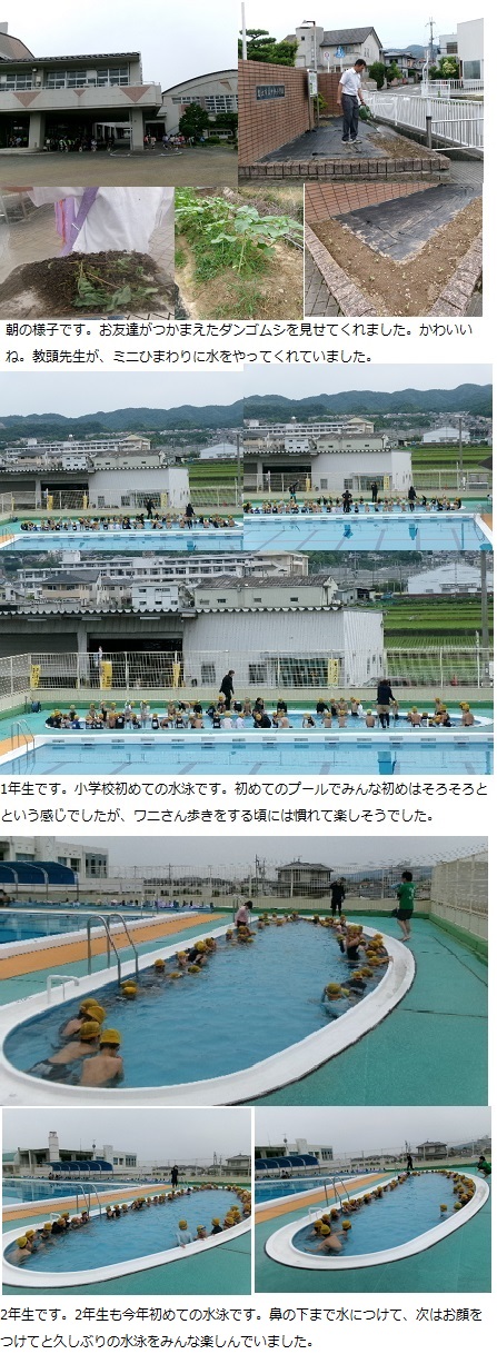 6月20日（木曜日）歯科検診（1・3・6年）の画像1