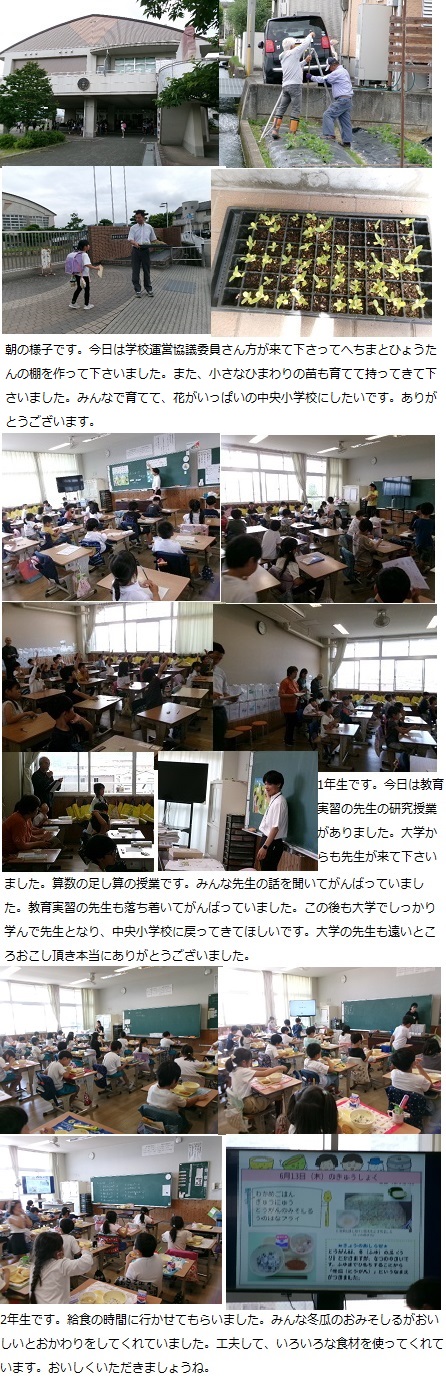 6月13日（木曜日）内科検診の画像1