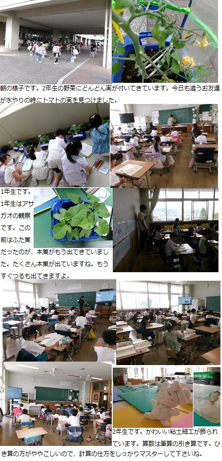 6月6日（木曜日）プール掃除（6年）の画像1