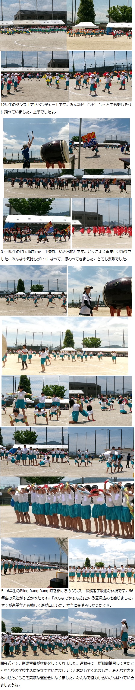 6月1日（土曜日）運動会の画像4