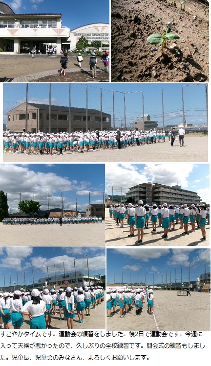 5月29日（水曜日）全校練習（1限）の画像1