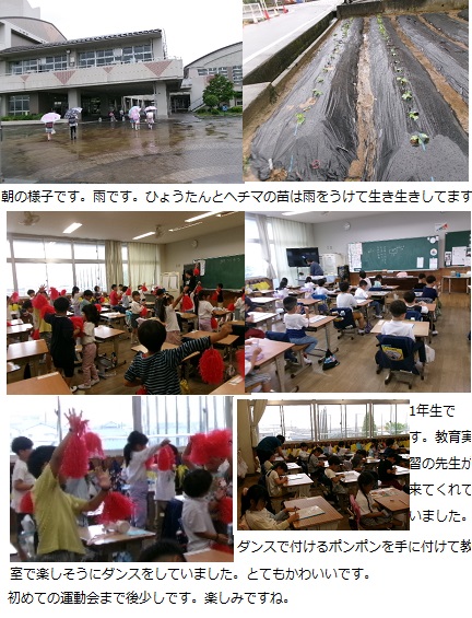 5月28日（火曜日）午後臨休（大雨予報に伴う）の画像1