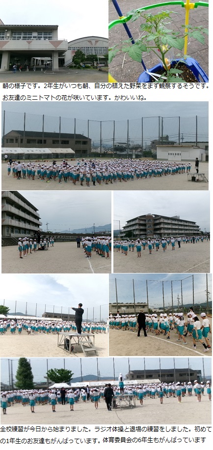 5月23日（木曜日）全校練習（1限）の画像1