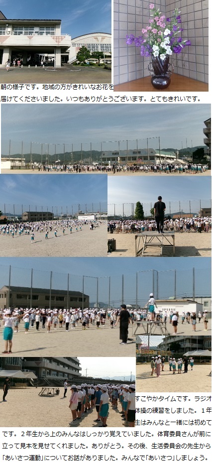 5月21日(火曜日)さつまいもの苗植え(1年)の画像1