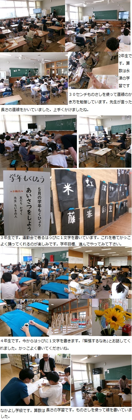 5月21日(火曜日)さつまいもの苗植え(1年)の画像3