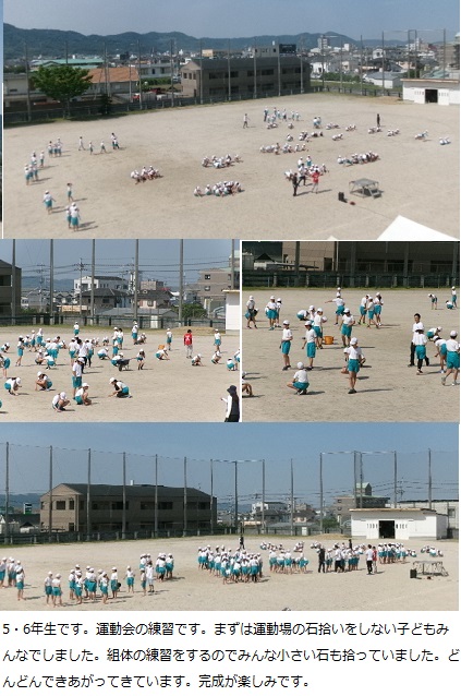 5月21日(火曜日)さつまいもの苗植え(1年)の画像4