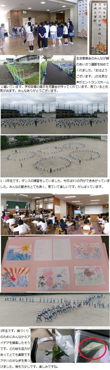 5月20日(月曜日)通常授業の画像1