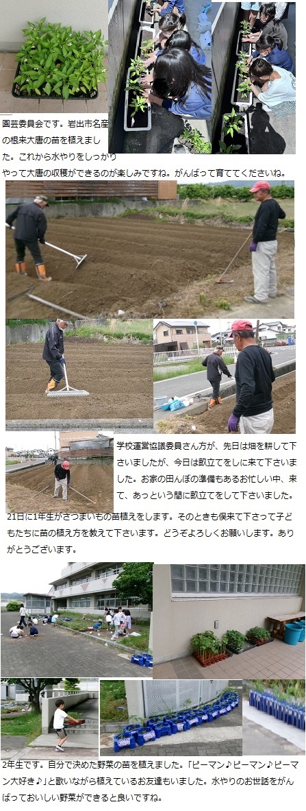 5月15日(水曜日)通常授業の画像4