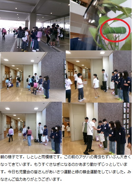 5月13日(月曜日)運動会練習開始の画像1