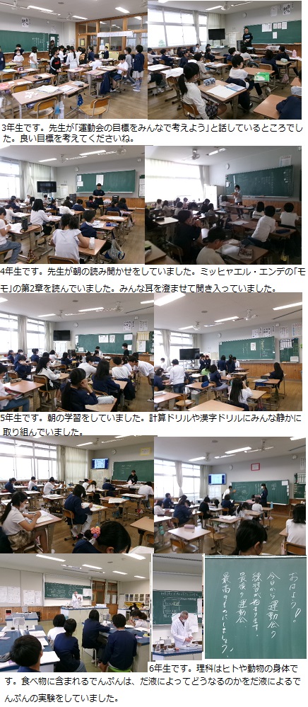 5月13日(月曜日)運動会練習開始の画像3