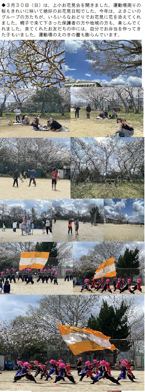 3月30日（日曜日）上小de「お花見会」の画像1