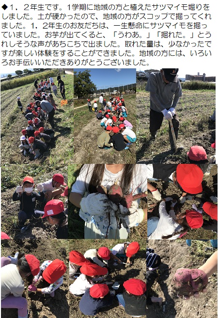 10月21日（月曜日）芋掘りをしました。の画像1