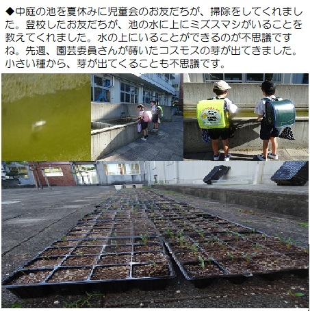 9月11日（水曜日）学校の様子の画像1