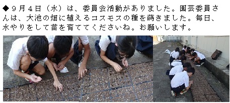 学校の様子の画像1