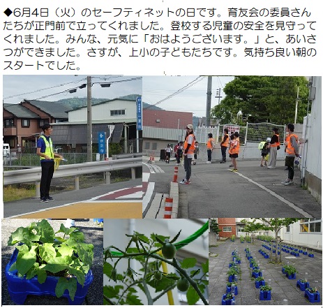 6月7日（金曜日）今週の学校の様子の画像1