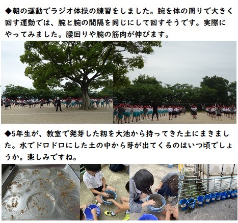 5月24日（金曜日）今日の学校の様子の画像1