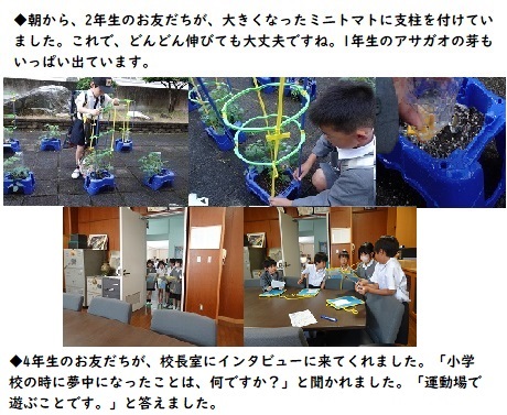 5月20日（月曜日）今日の学校の様子の画像1